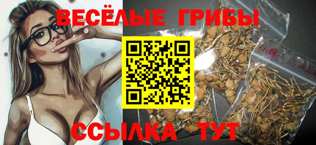 Дивногорск  Псилоцибиновые грибы ЛСД  Вход с VPN 